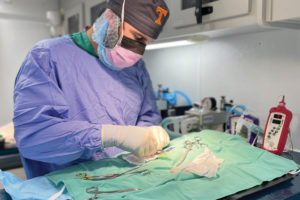 Veterinarian working with surgical tools in a surgical prep area