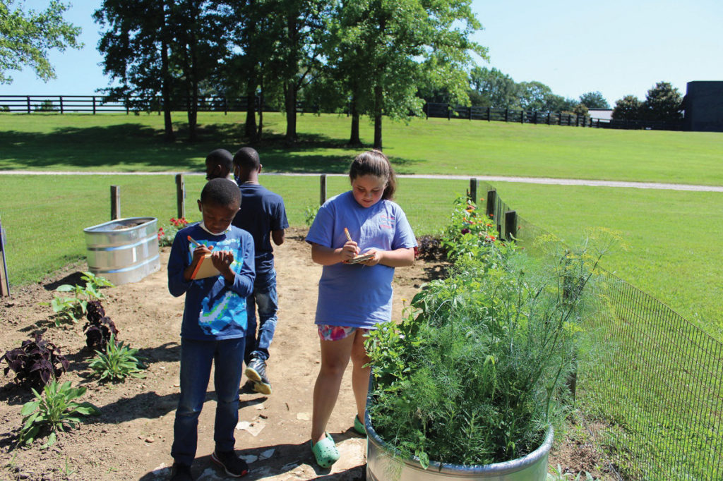 Youth at Lone Oaks participating in outdoor learning