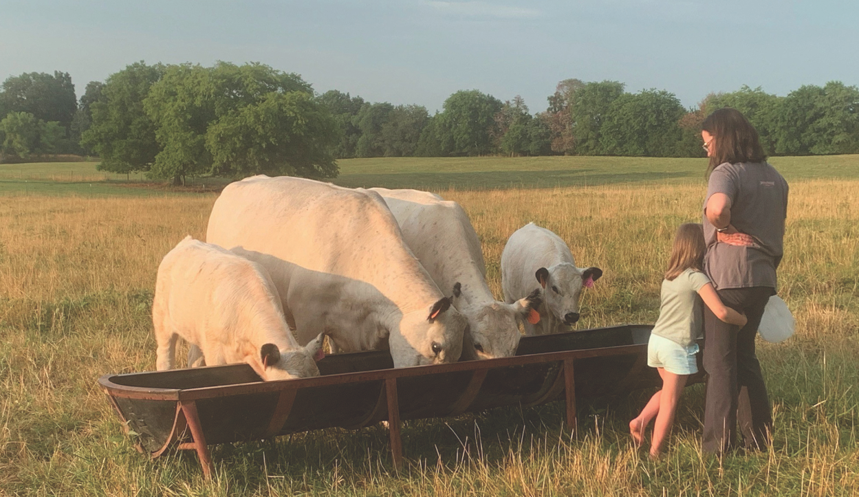 Samantha Beaty with cattle