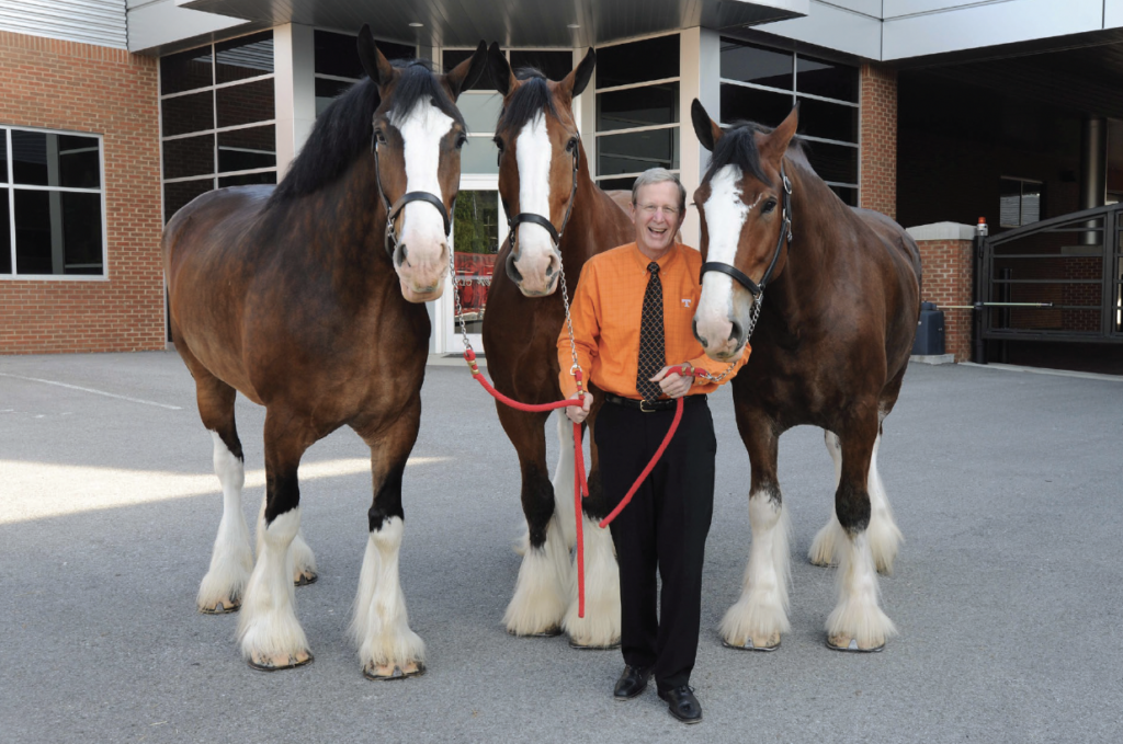 Jim Thompson with the Budweiser Clydesdales