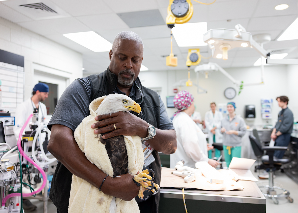 Mike Jones holding a bald eagle