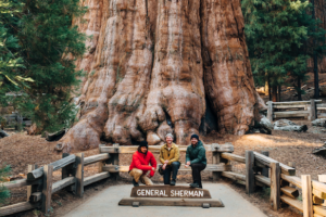 Three people standing in front of the General Sherman tree