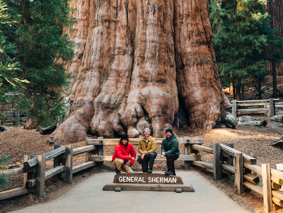 Three people standing in front of the General Sherman tree