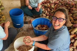 Denita sorting through cacao pods
