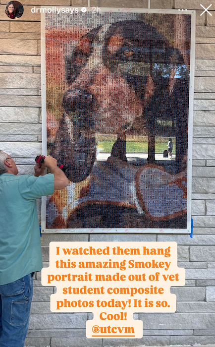 An image of Smokey made from a collage of UTCVM student composites