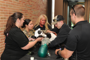 UTCVM workers and first responders tending to a dog
