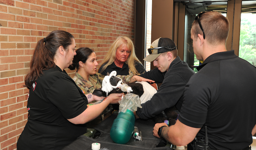 UTCVM workers and first responders tending to a dog