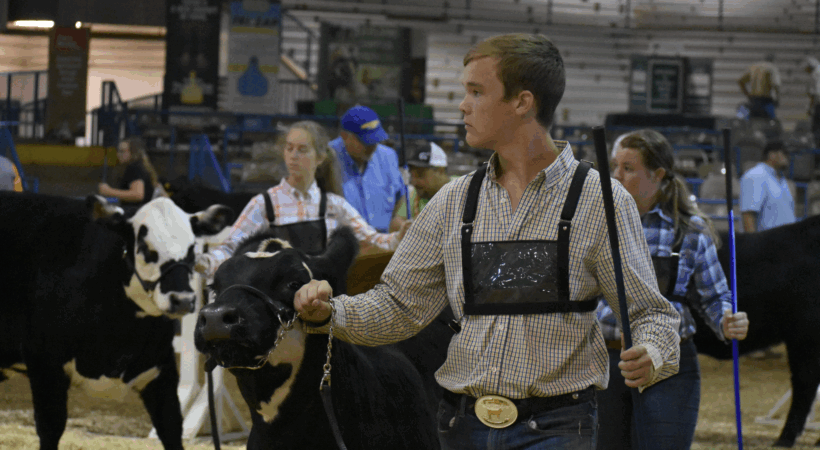 Eli Dotson at a livestock show