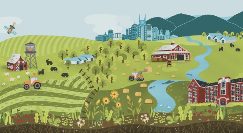 An illustration of what the University of Tennessee Institute of Agriculture represents