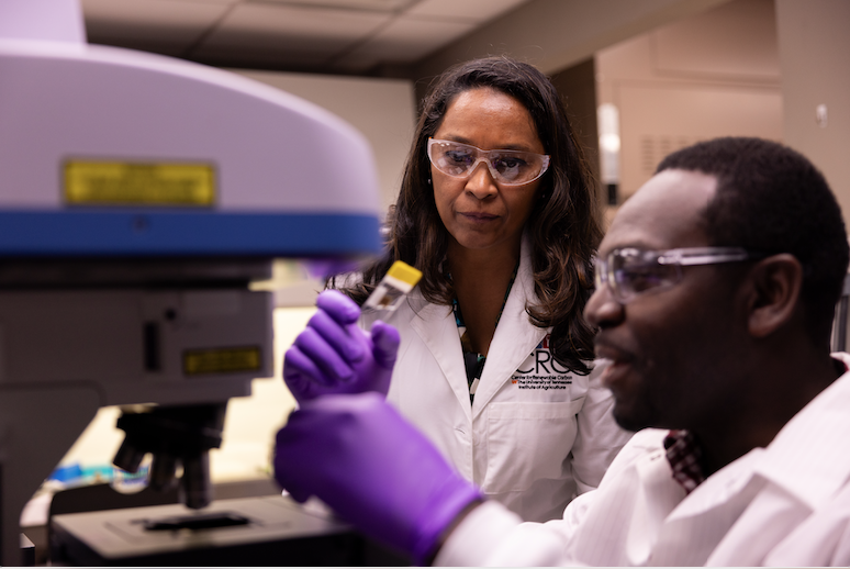 Two researchers in a lab