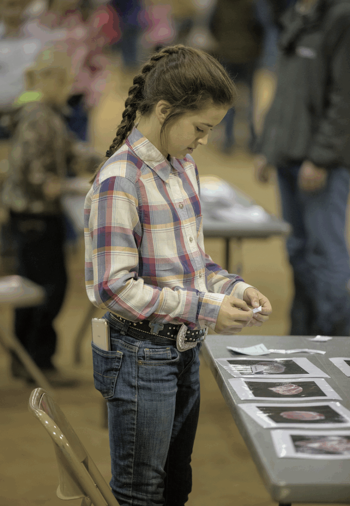 A youth participant in Swine Skillathon examining images