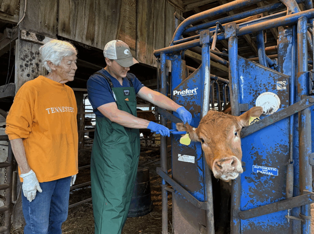 Bertha Jaragin and a UTCVM student placing a fly tag