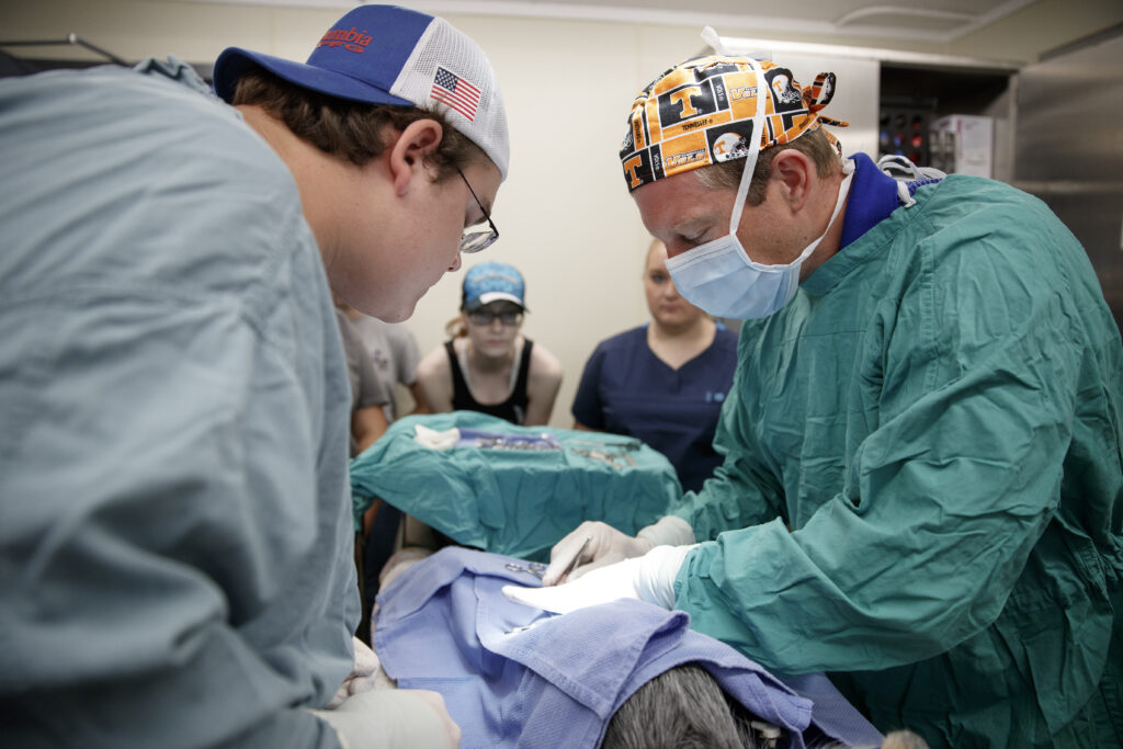 A professor performing a teaching surgery for students.