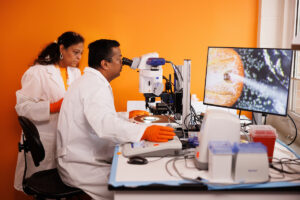 Two professors in a lab working together