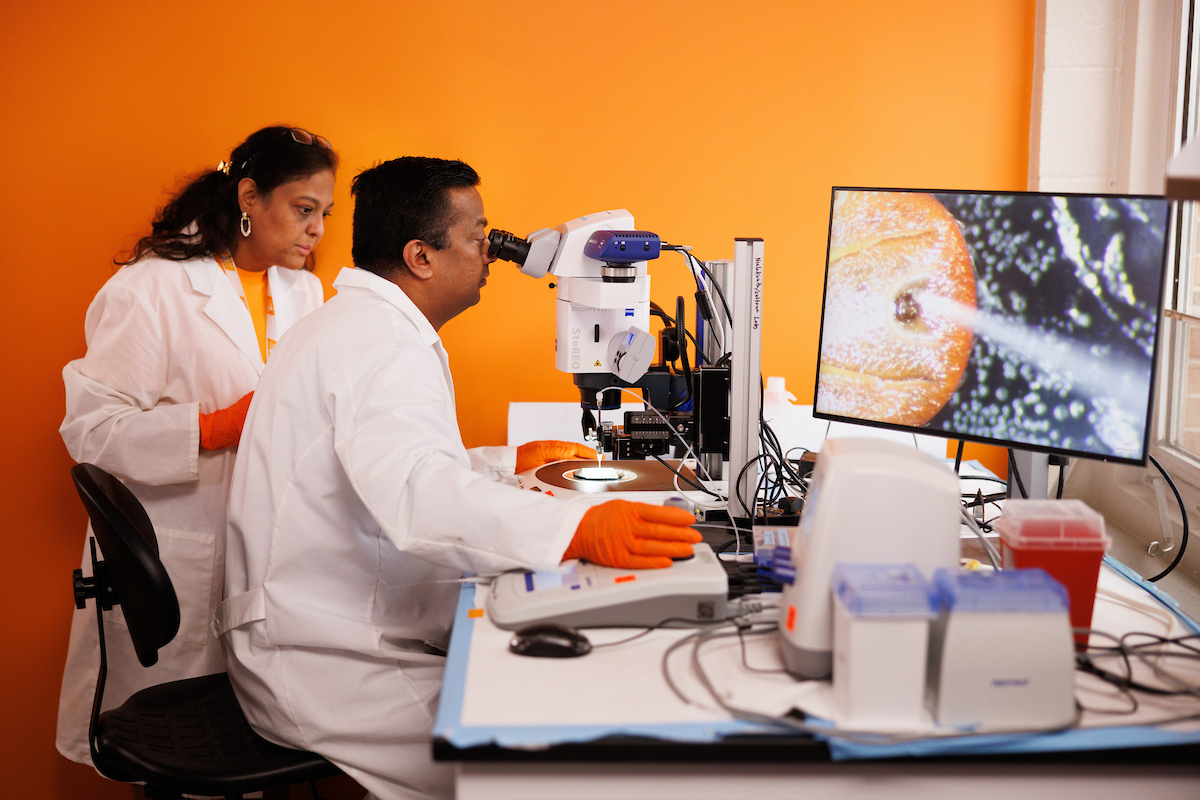 Two professors in a lab working together