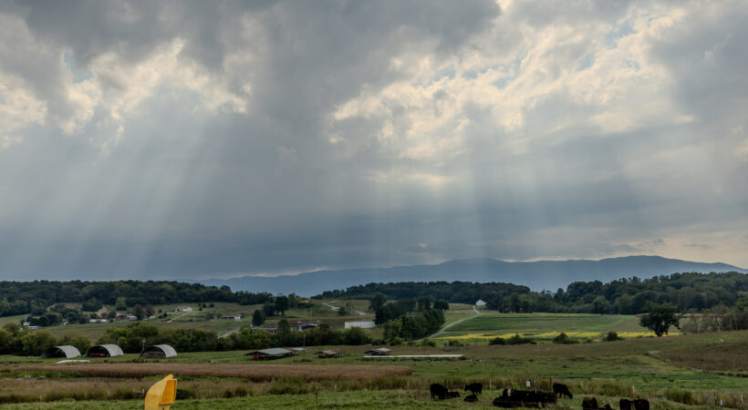 Farmland at the Northeast Tennessee AgResearch and Education Center
