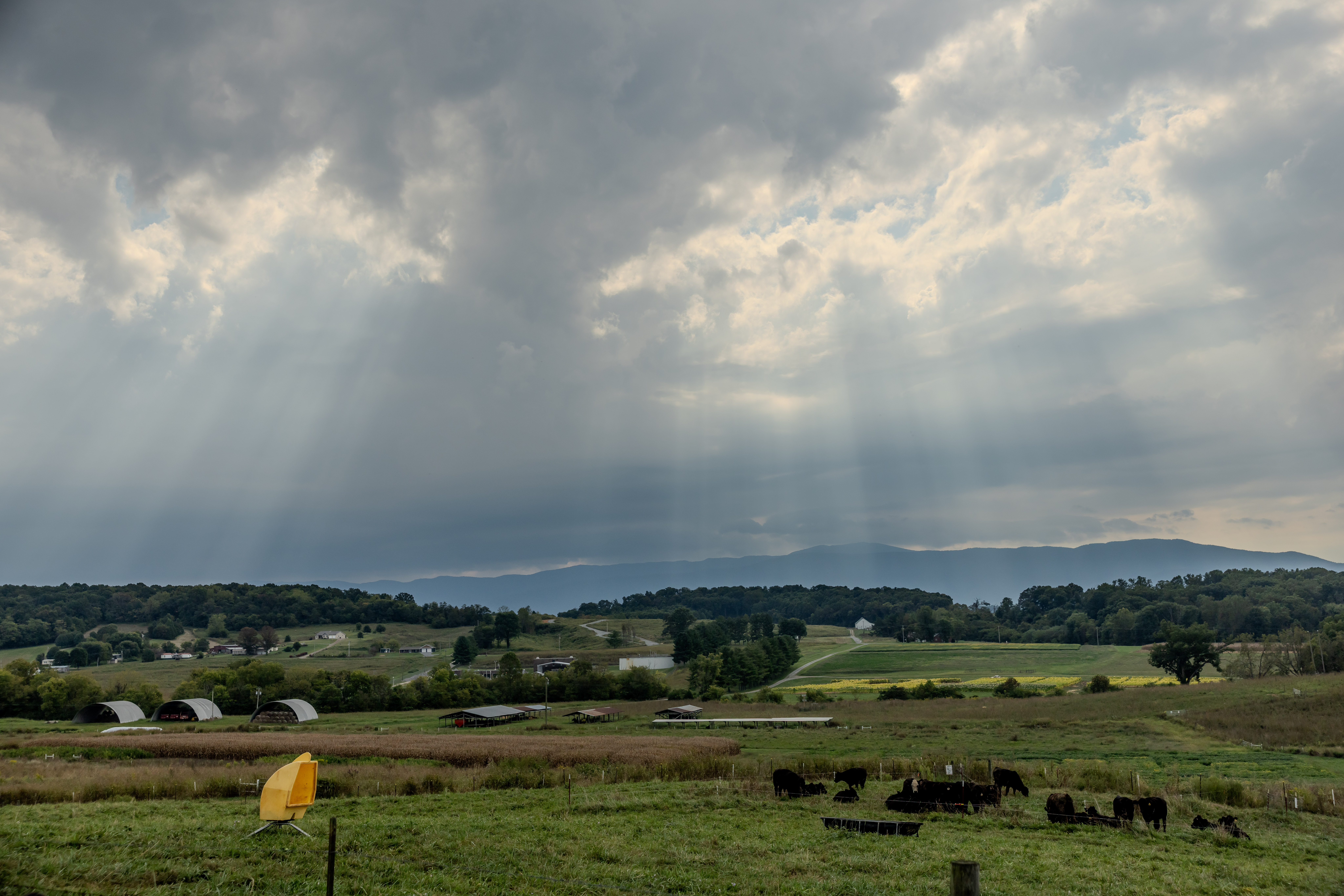 Farmland at the Northeast Tennessee AgResearch and Education Center