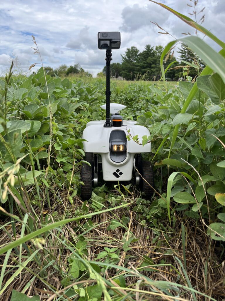A small robot on wheels with a camera on the top in a field collecting data