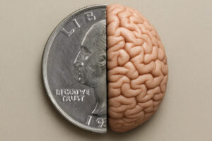 Half of a USD quarter and half a brain