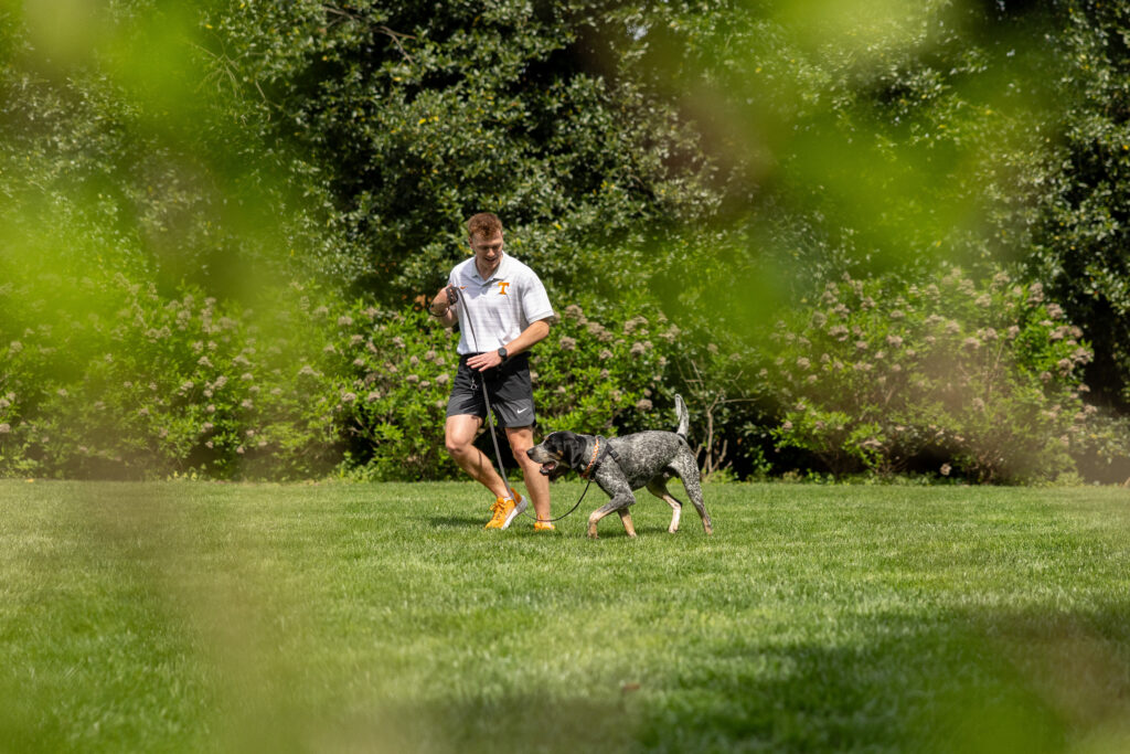 Neyland, recently introduced as Smokey XII, walks through the UT Gardens with one of his handlers on April 08, 2026. Photo by Raffe Lazarian / UTIA