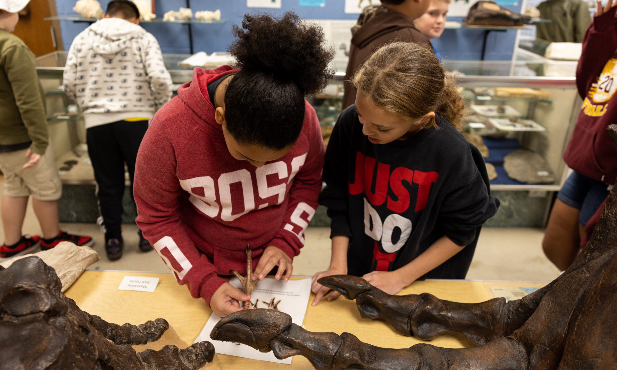 Two students examine similarities between a modern turkey’s foot and the bone structure of a Tyrannosaurus rex in the fossils classroom at the Clyde Austin 4-H Center in Greeneville, Tennessee.