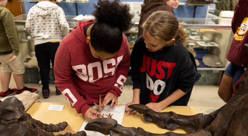 Two students examine similarities between a modern turkey’s foot and the bone structure of a Tyrannosaurus rex in the fossils classroom at the Clyde Austin 4-H Center in Greeneville, Tennessee.