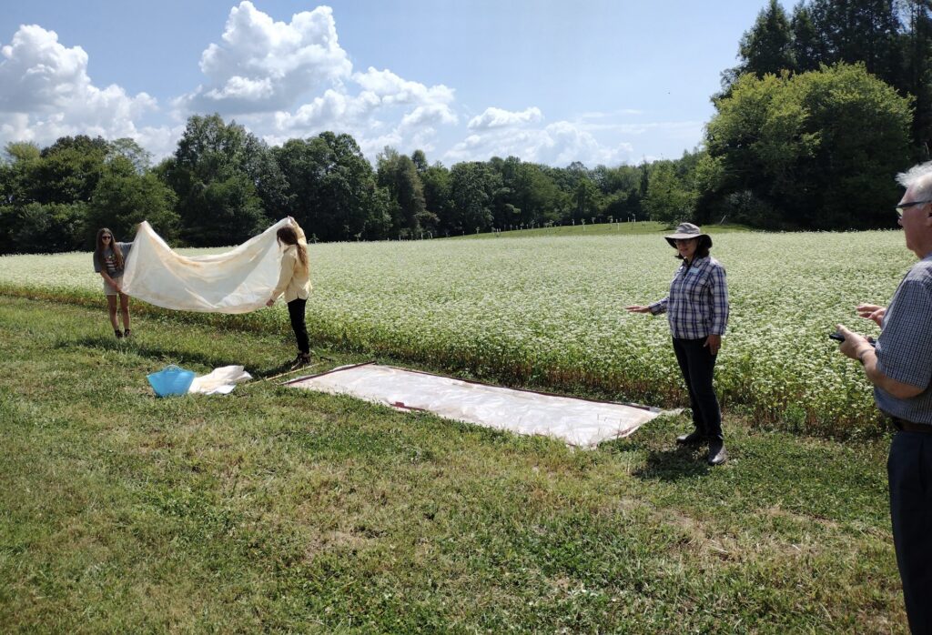 Amanda Carroll, far left, assists with a demonstration about soil solarization at the Steak and Potatoes Field Day in 2024 when Carroll was a student worker in the lab of Professor Annette Wszelaki, far right. Photo Credit: Samantha Flowers
