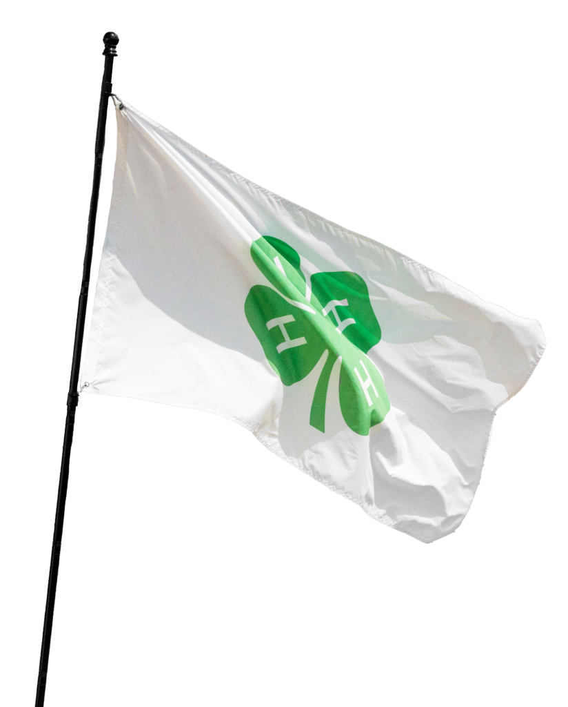 4-H flag
