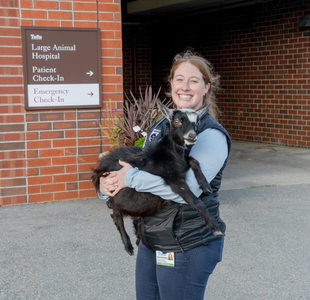 Cummings School of Veterinary Medicine at Tufts University, Faculty, Caroline Griffin, Portrait, New Faculty Profile, Environmental Portrait 10/28/25 - Photo of Caroline Griffin..Photo by: Jeff Poole/Cummings School of Veterinary Medicine at Tufts University.